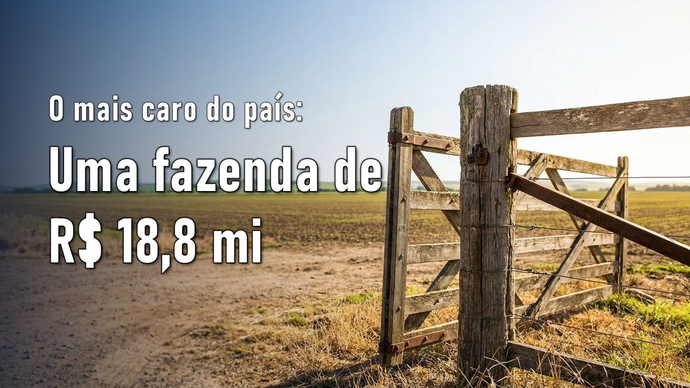 Porteira de madeira aberta na entrada de uma propriedade rural, com lavoura ao fundo sob luz de dia